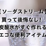 【ソーダストリーム】買って後悔なし！炭酸水がすぐ作れるエコな便利アイテム