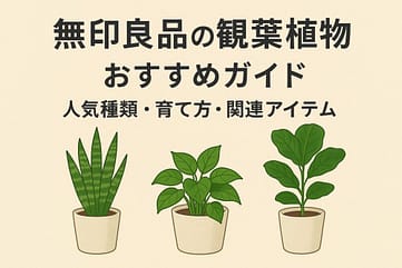 無印良品の観葉植物おすすめガイド|人気種類・育て方・関連アイテム