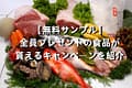 【無料サンプル】全員プレゼントの食品が貰えるきゃんぺーんを