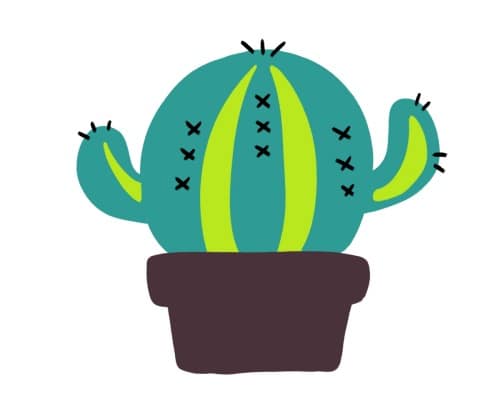 サボテン